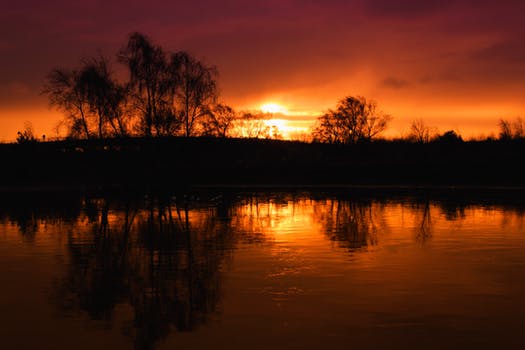 sun on water.jpeg