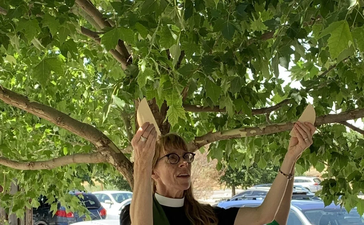 Leaving Work - Luke 5:1 -11