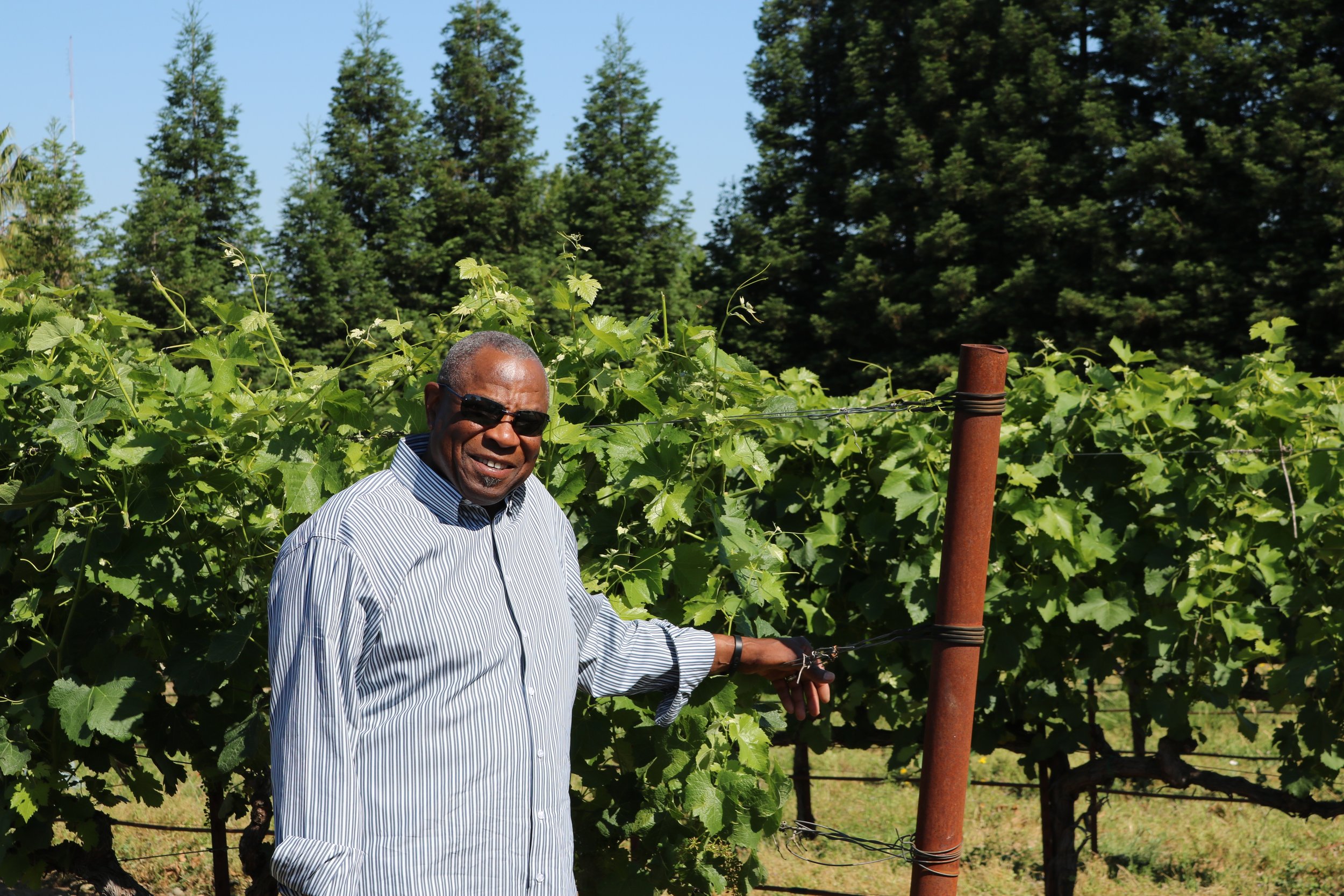 Baker Family Wines