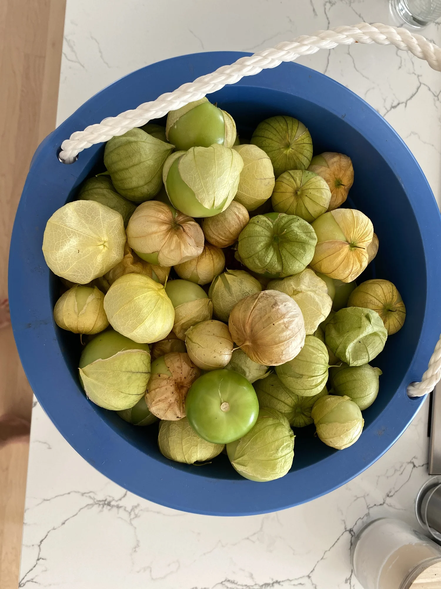 Tomatillo Enchilada Sauce — pattysplate