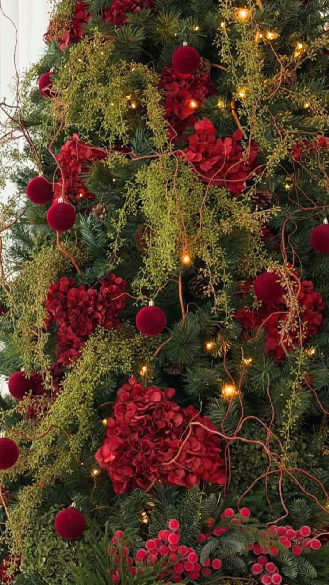 Haven Christmas Installation (4).PNG