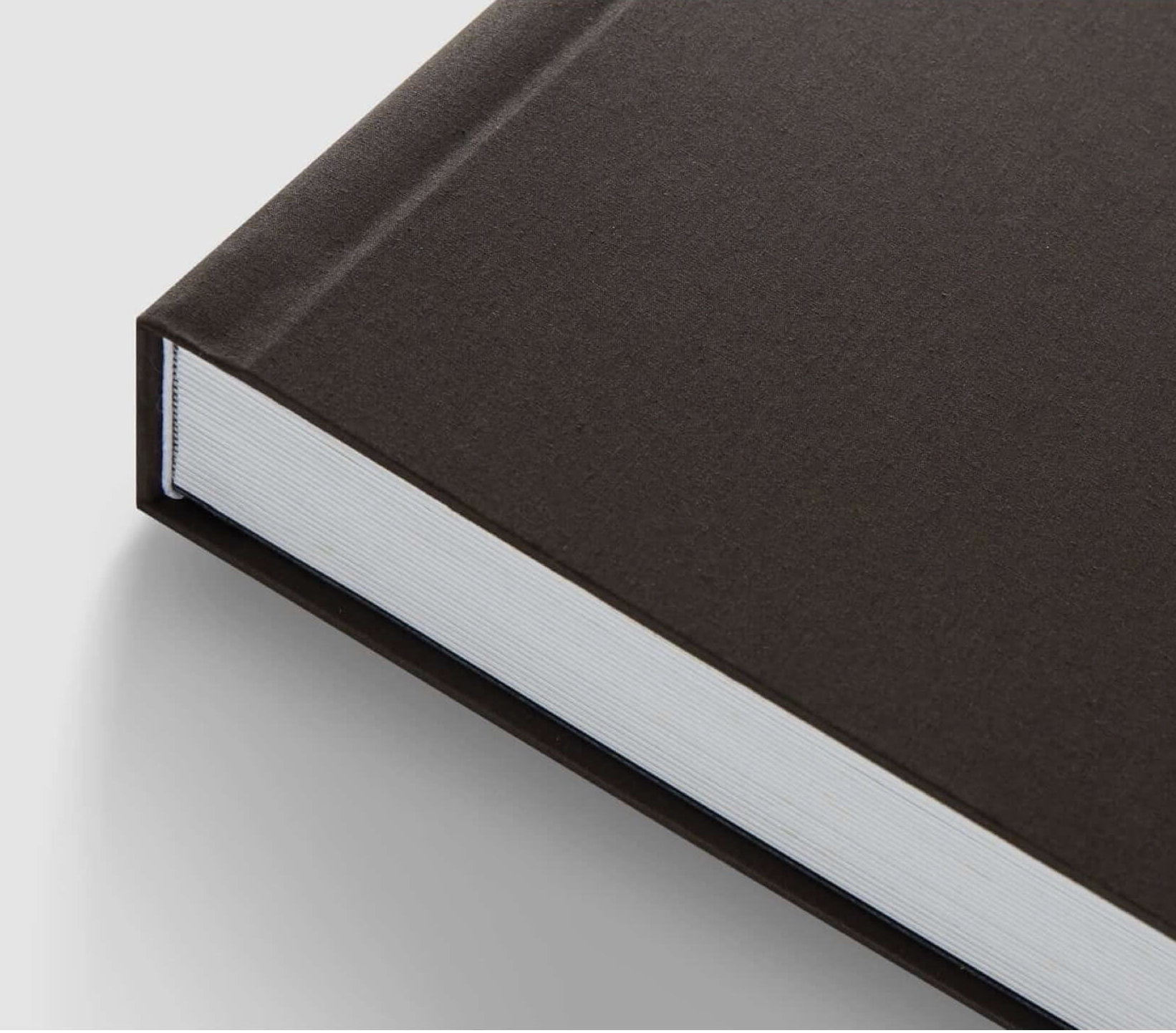 Screenshot 2026-02-12 at 2.38.14 PM.png