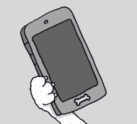 giphy-downsized.gif