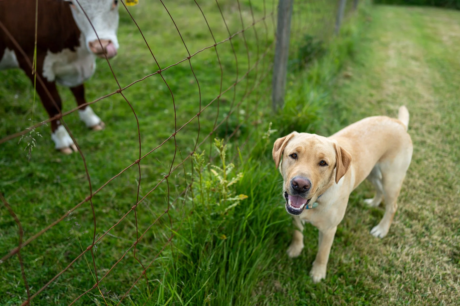 chaze & stella_72dpi-9.jpg