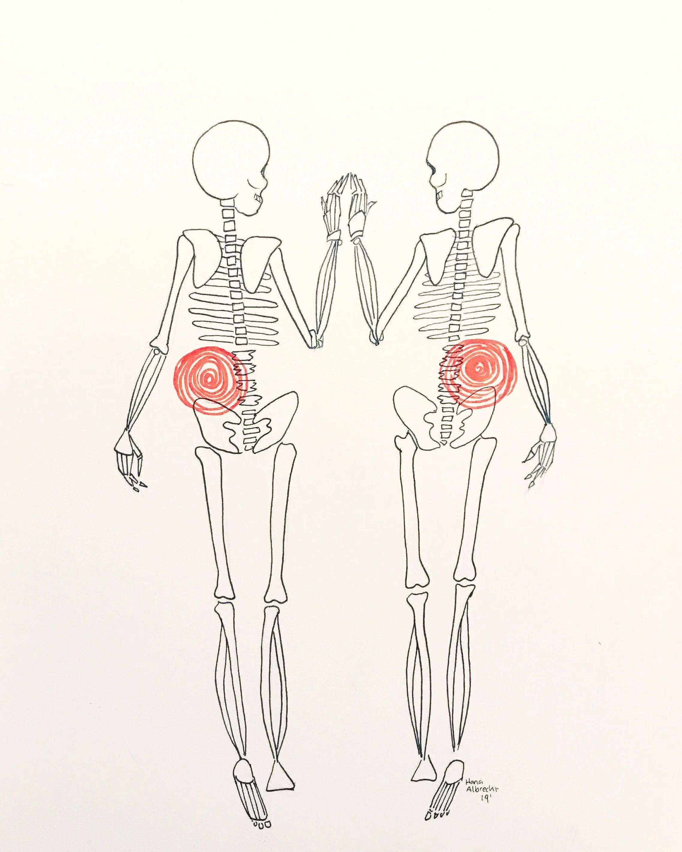 Organ Donor - Februscary 2019