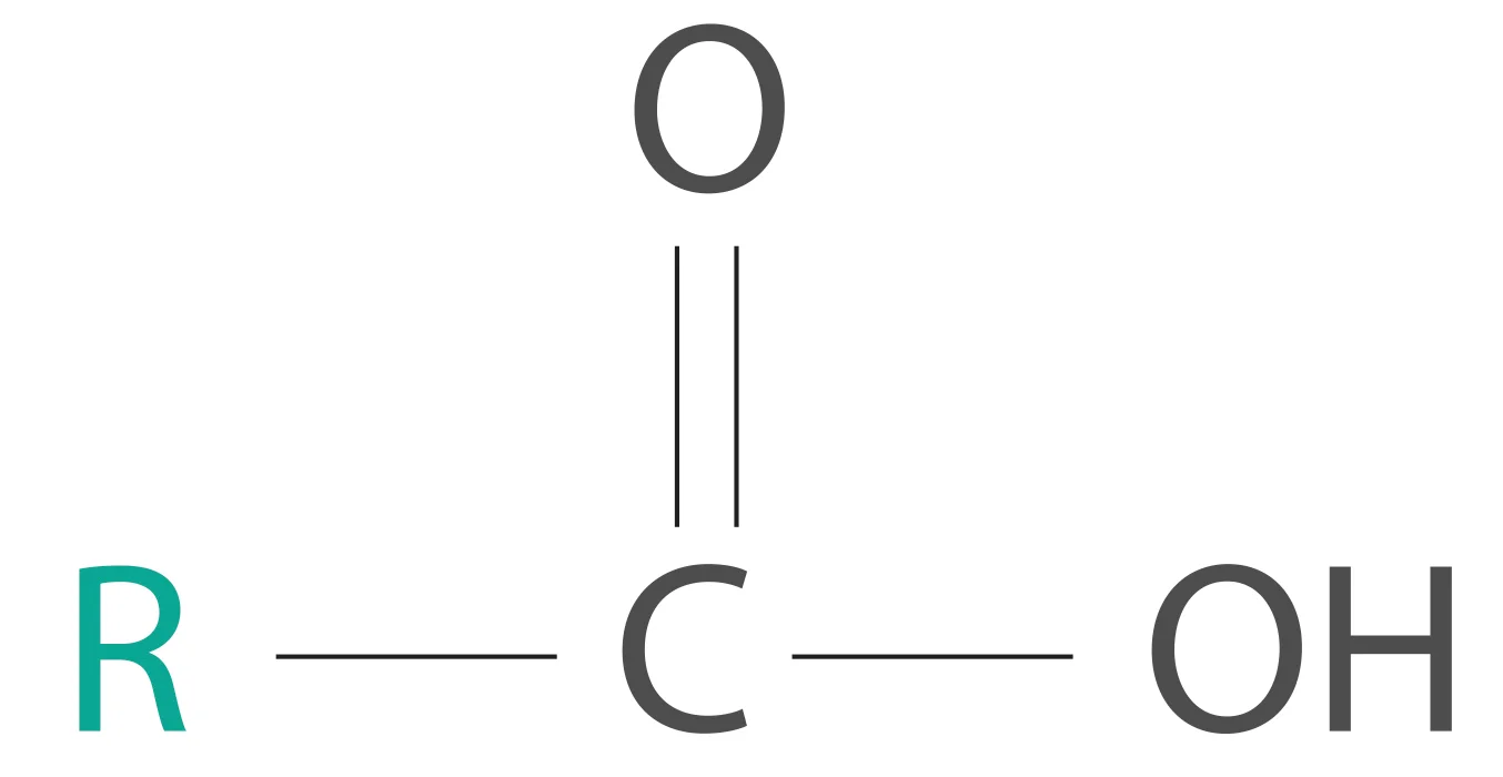 Fatty Acids The building blocks of lipids — Firstclass