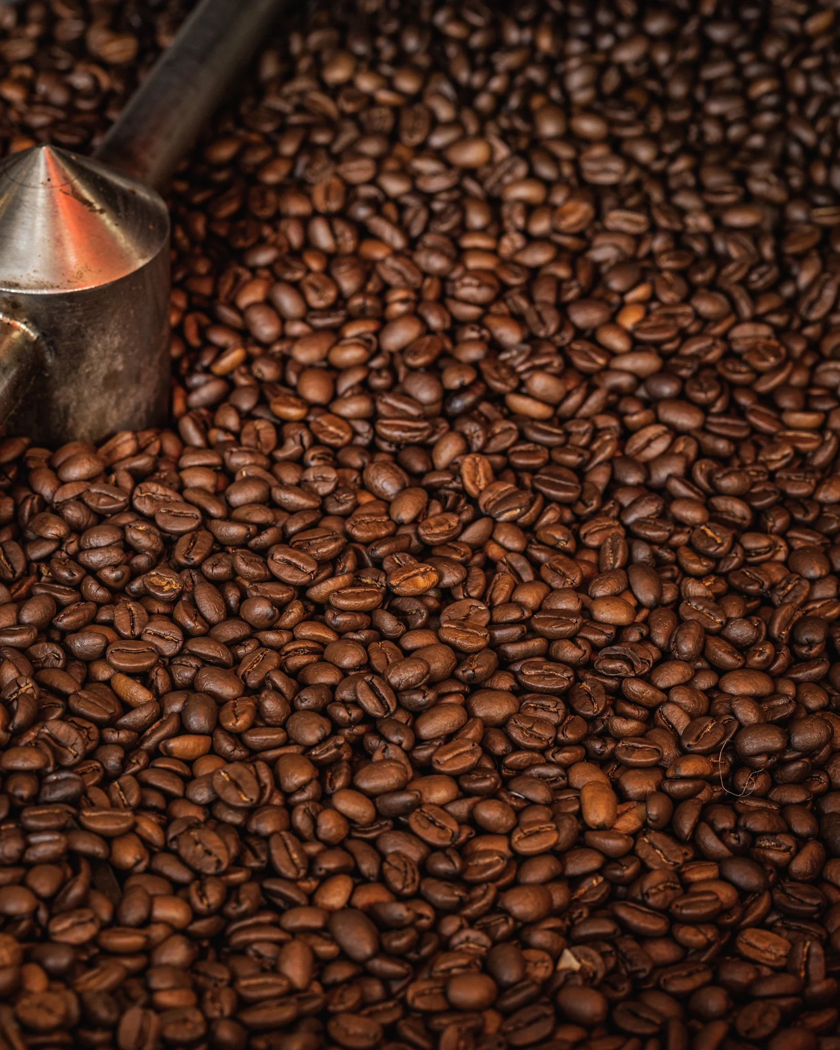 beans-closeup-light.jpg