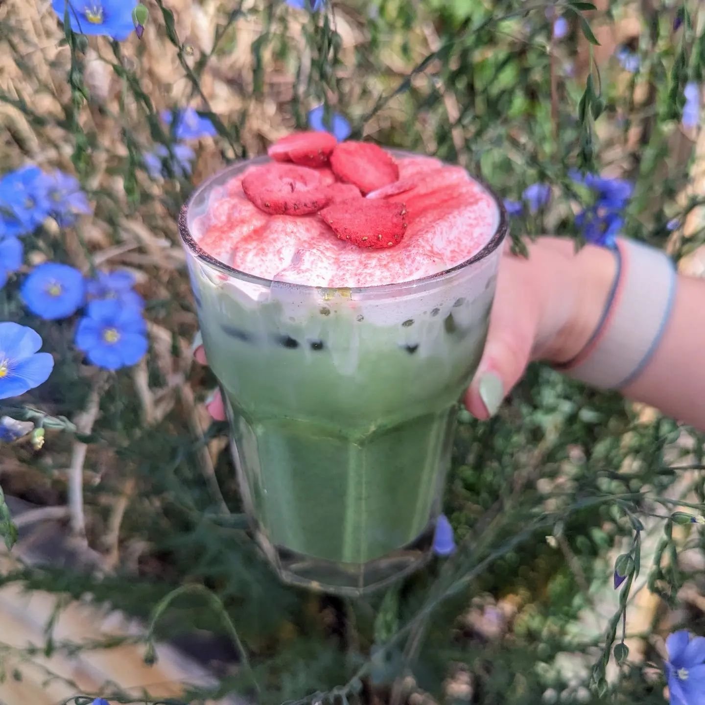 New drank, who dis???! Introducing 🍓Strawberry Fields Forever 🍓 Matcha with strawberry cold foam, finished with a strawberry dust 🍓 Its the perfect ring in Spring drink! #flyingm #downtownampa