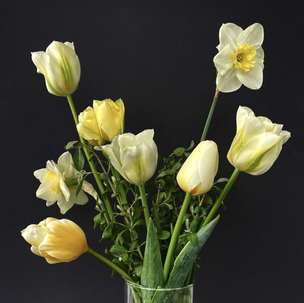 That Fresh Flower Power