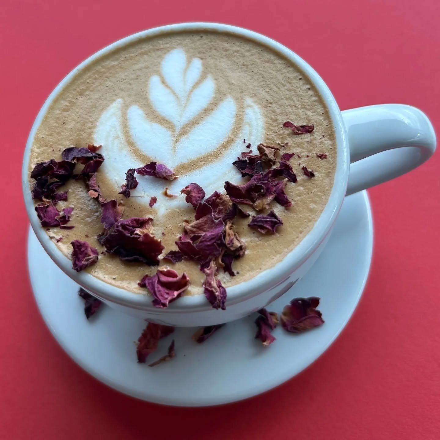 ❤️𝐿𝑜𝑣𝑒𝑙𝑦 𝑑𝑟𝑖𝑛𝑘 𝑚𝑒𝑛𝑢: 𝑗𝑢𝑠𝑡 𝑑𝑟𝑜𝑝𝑝𝑒𝑑❤️

🌹 Honey rose latte
💝 Choose-your-truffle mocha 
🍵 Strawberry white chocolate matcha

#libationsoflove #matcha #housemadechocolatesauce #flyingm flyingmnampa downtownnampa
