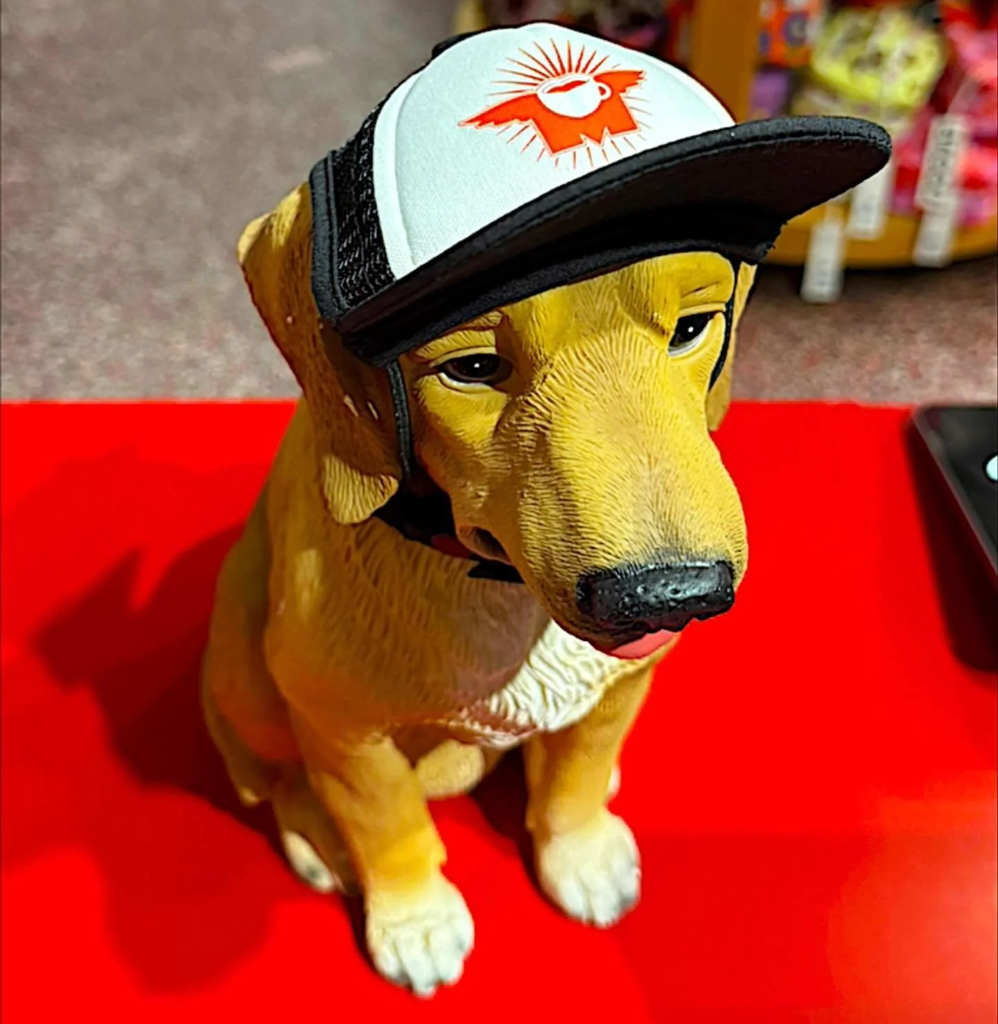 New in the shop&hellip; custom Flying M Dog Hats!! Make sure your Pup is the coolest on the block! Comes in several different sizes! 🐶🐾 #flyingm #flyingmboise #downtownboise