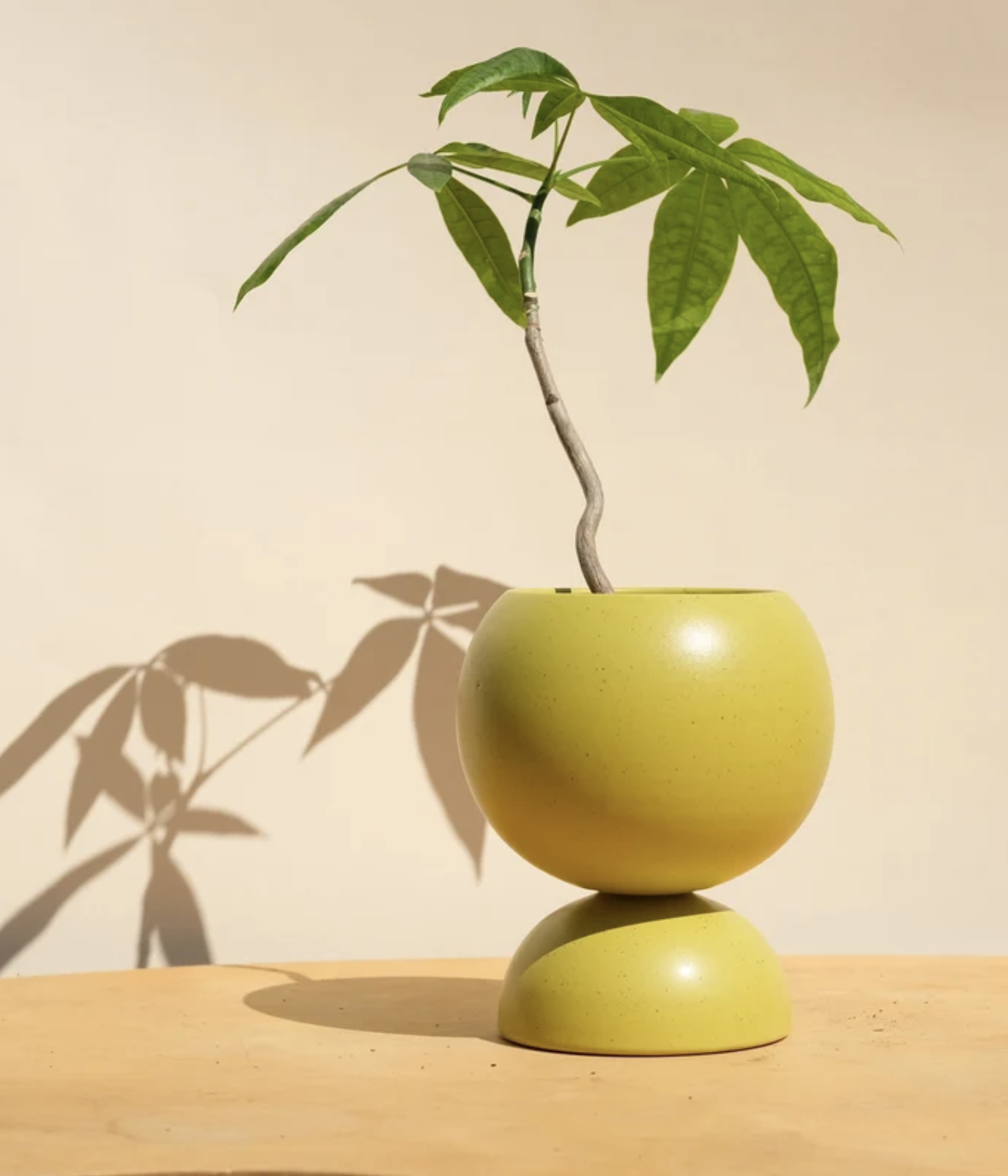 Klei Ceramics