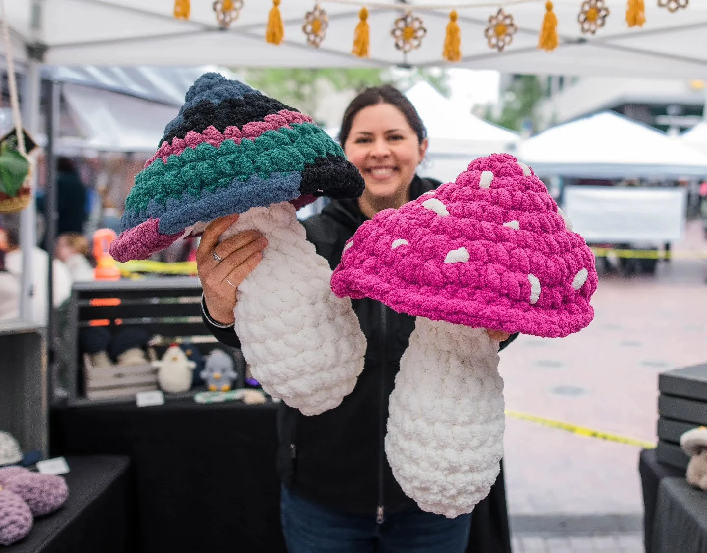 Turtle's Dream Crochet
