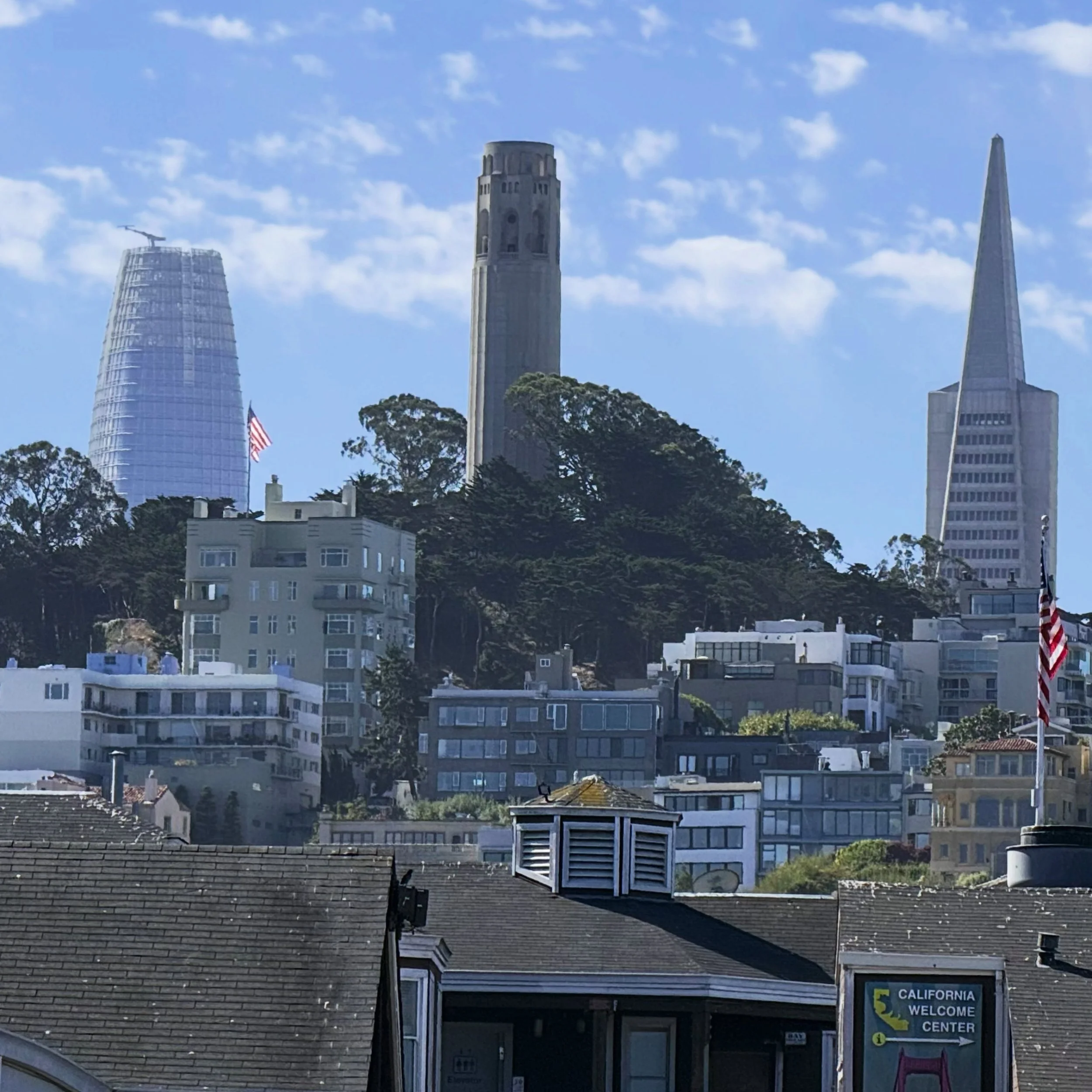 SF wrap up. Middle aged travel may not be especially photogenic but it&rsquo;s always good to get out and remember what beauty is. And how good and soft strangers in strange places can be. (Not including the cabbie that seemed determined to kill us a