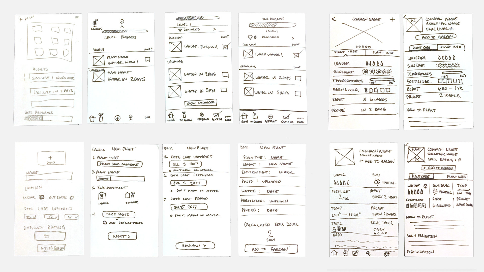 Wireframe Sketches