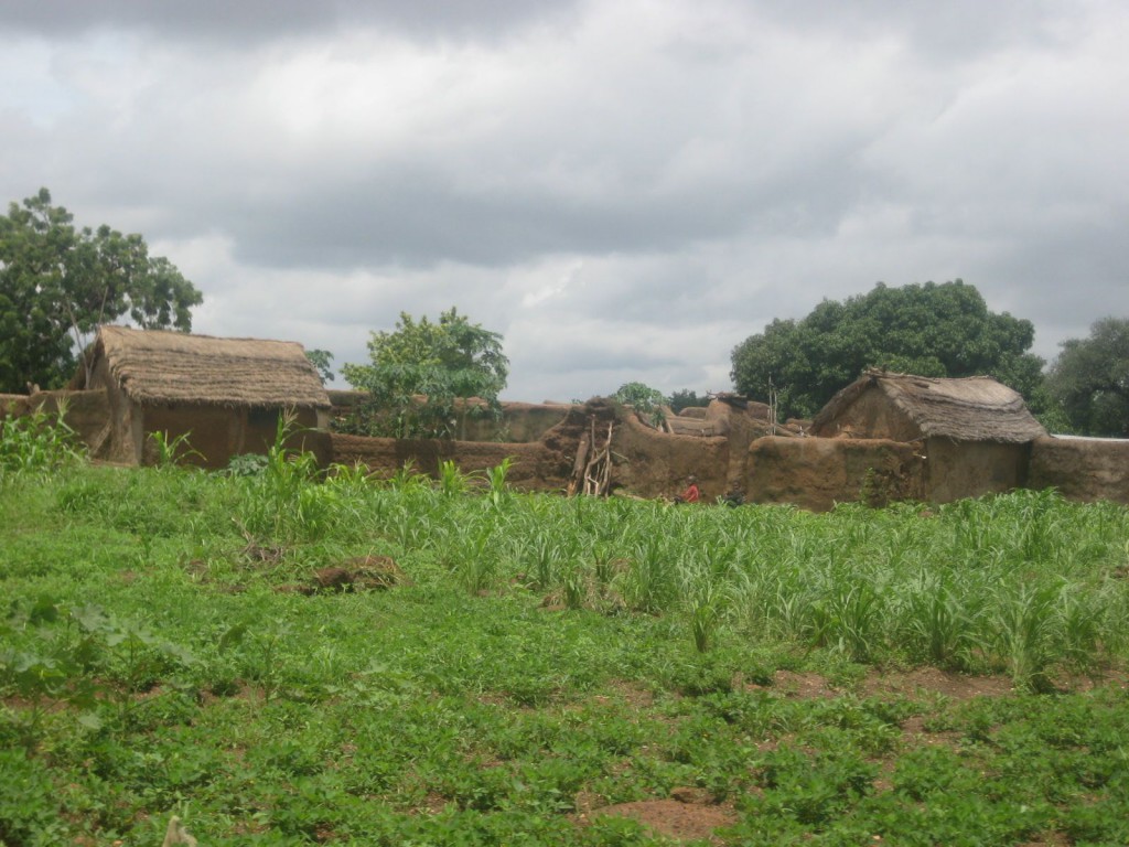 Farms During Rainy Season (Child Malnutrition is Big Problem in Dry Season)