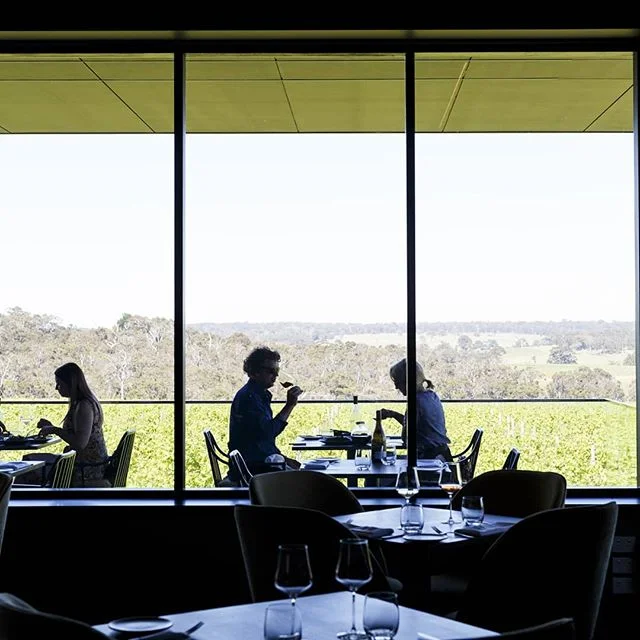 Summer is here, contact us now to book a table over looking the vines.
.
.
#ameliaparkrestaurant #wilyabrup #margaretriver #restaurantaustralia