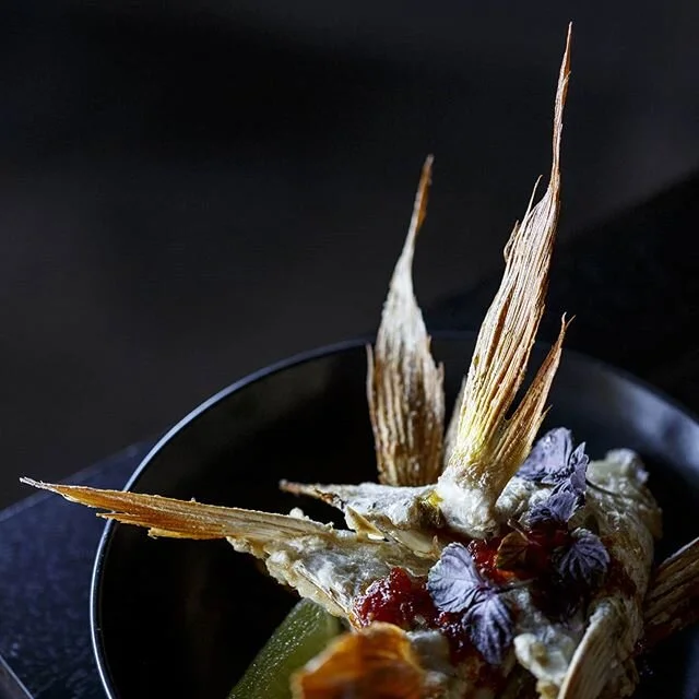 Crispy fish wings, chilli relish
.
.
#ameliaparkrestaurant #wilyabrup #margaretriver #experiencemargaretriver #justanotherdayinwa #restaurantaustralia