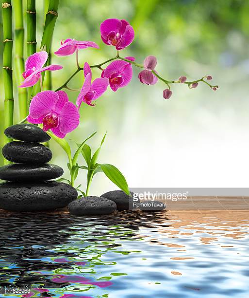 Photo by RomoloTavani/iStock / Getty Images