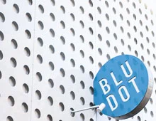 bludot_th.jpg