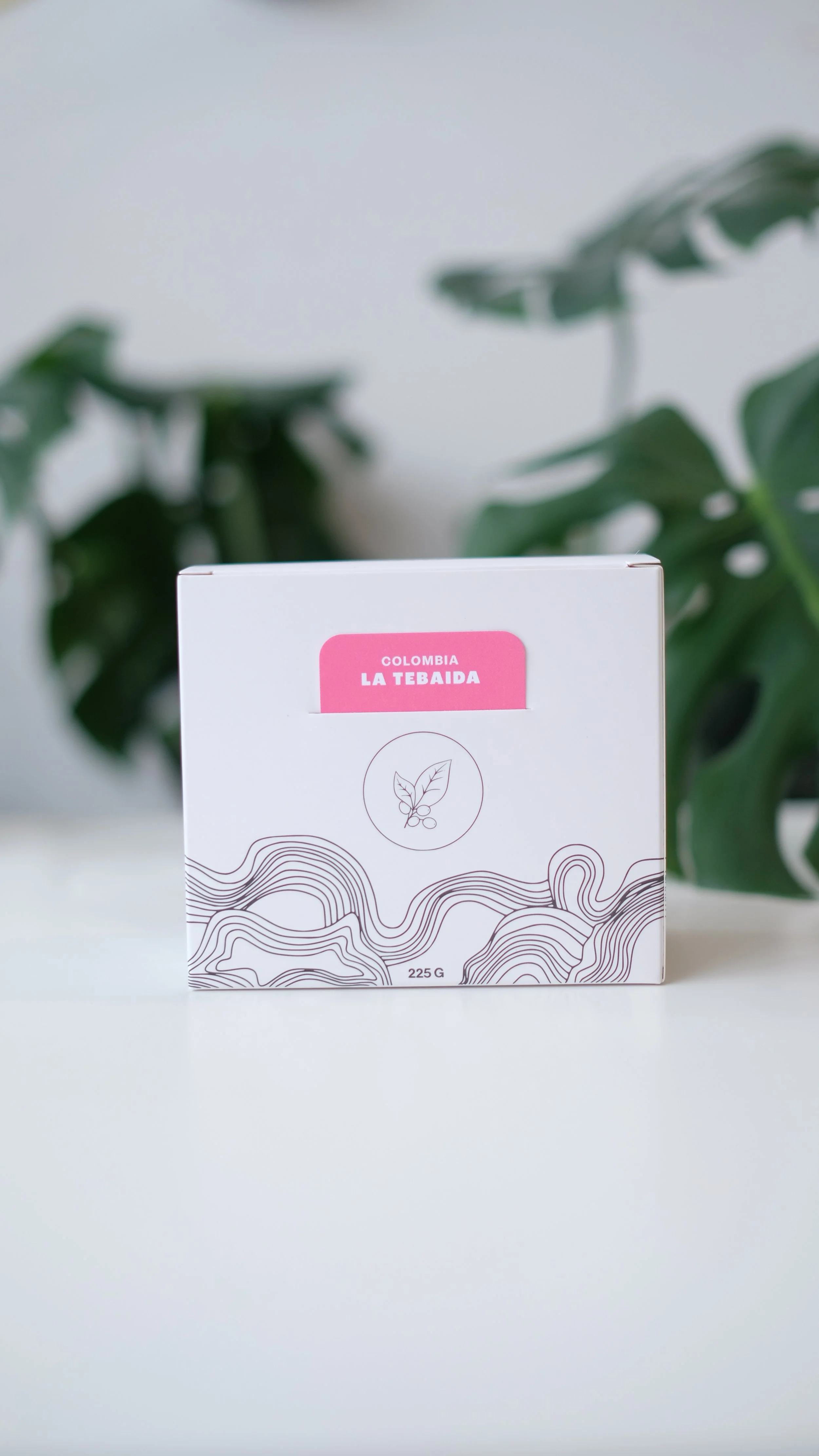 Colombia: La Tebaida