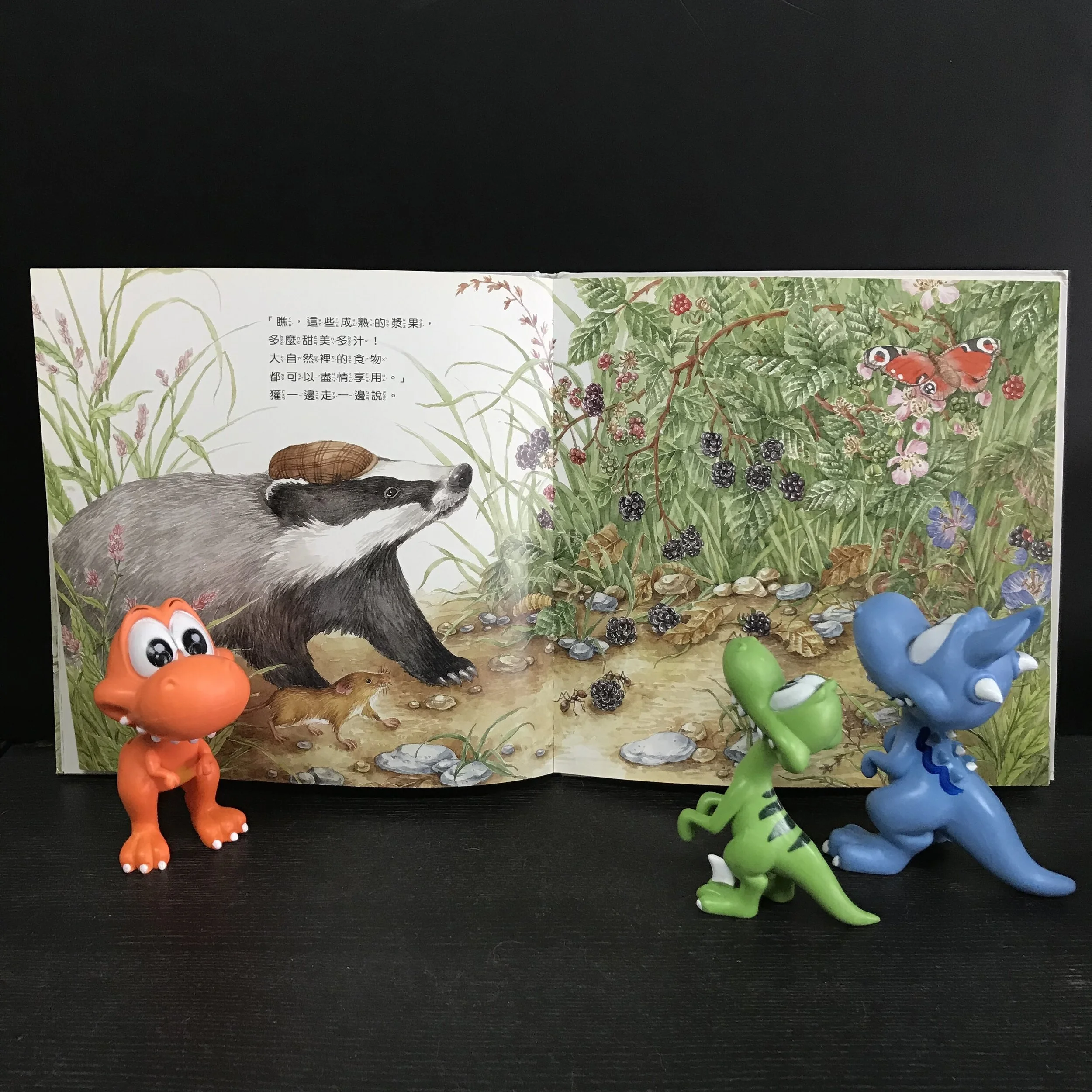 20191006-3.jpg