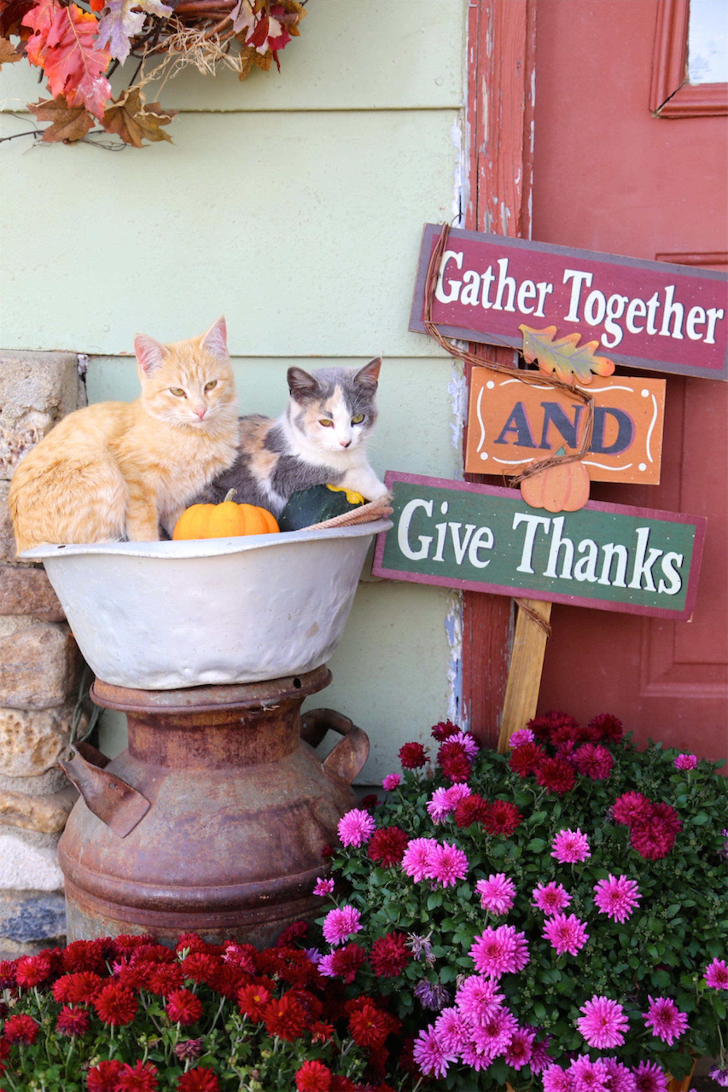 IMG_3256 - Version 2.jpg