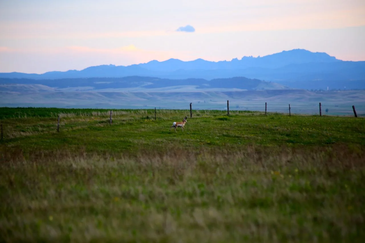 IMG_3512.jpg