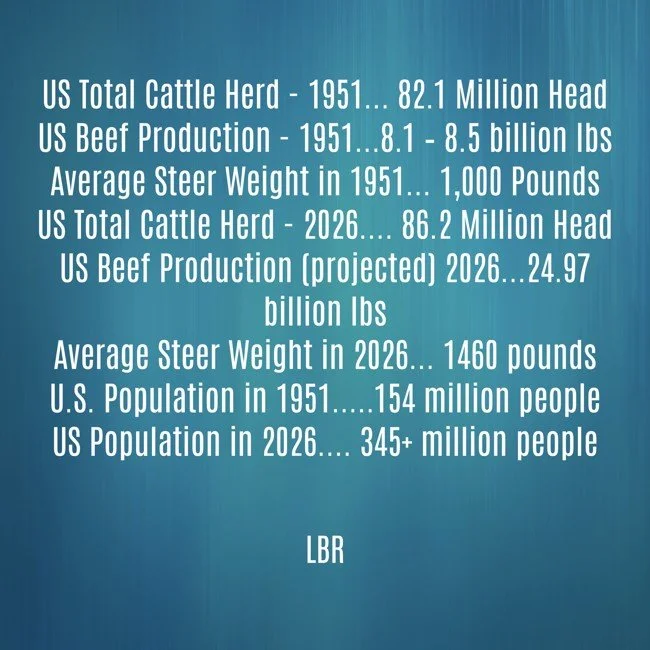 us-total-cattle-herd-1951-821-million-headus-beef-2.jpg