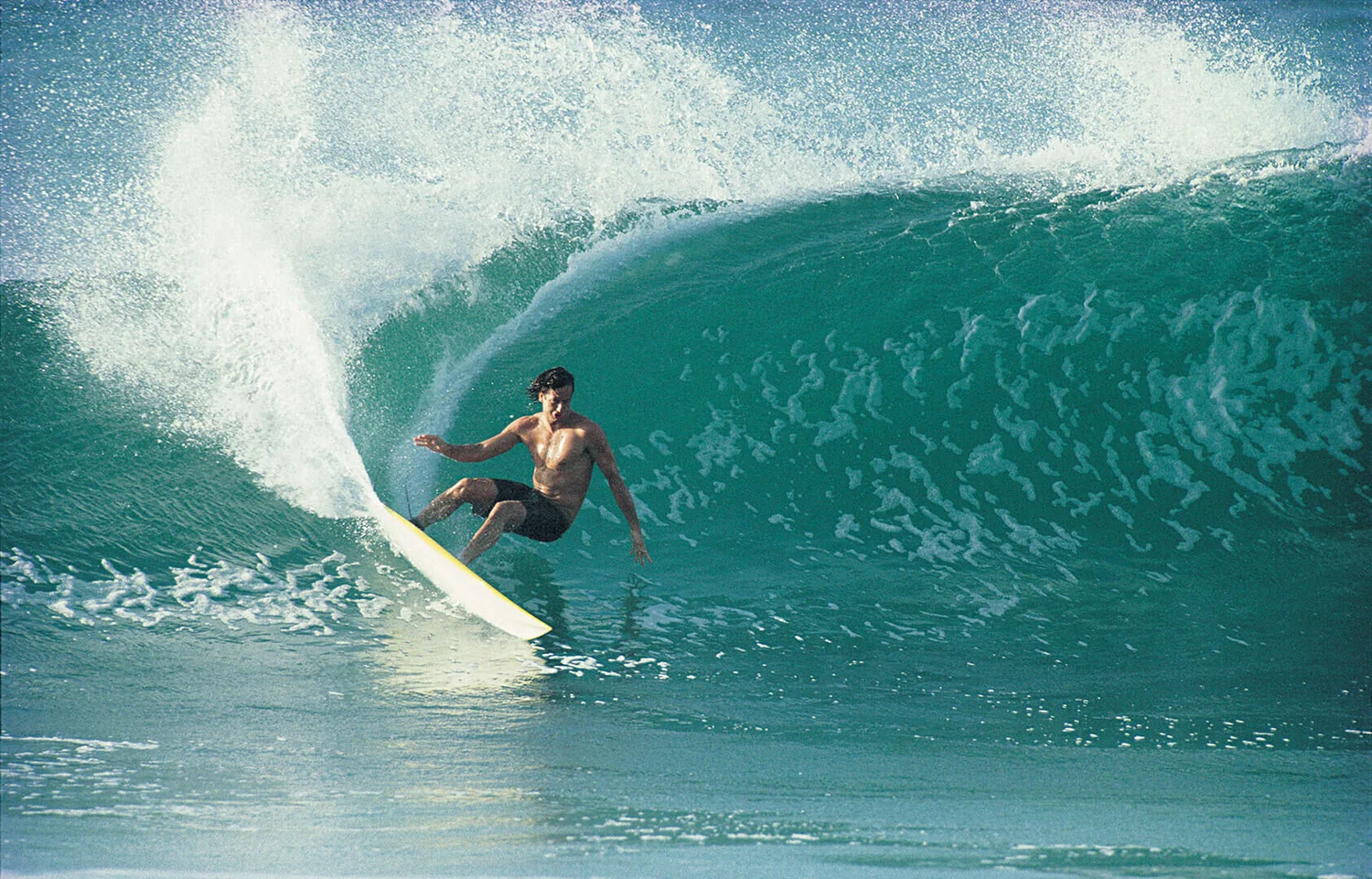 maurice cole surfboards