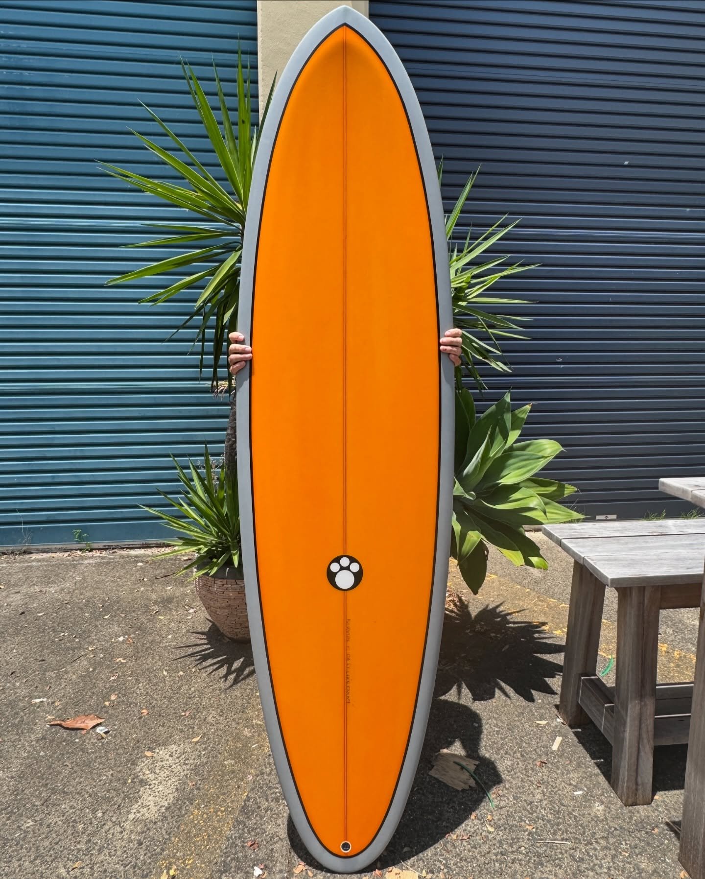 10%OFF】 SURFBOARDS COLE MAURICE - SURF ADDICT サーフィン 10%OFF】 SURFBOARDS COLE MAURICE - SURF ADDICT サーフィン