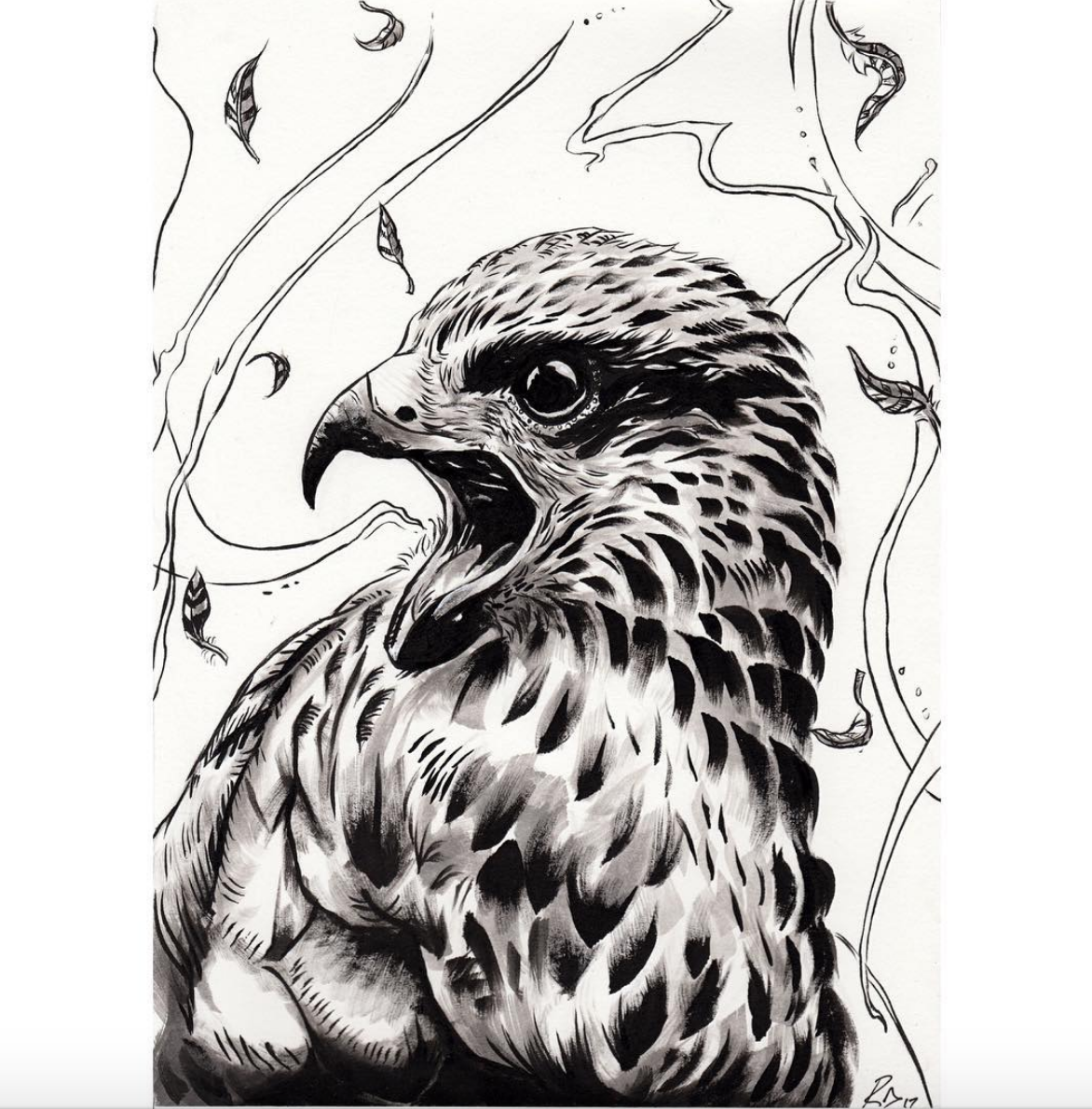 Above image; 'Call of The Hawk' My ink illustration/drawing on paper for the Inktober challenge.