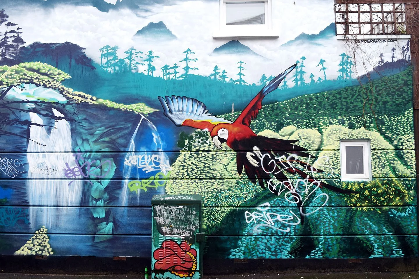 Above image; Tropical/rainforest street art close to my house.