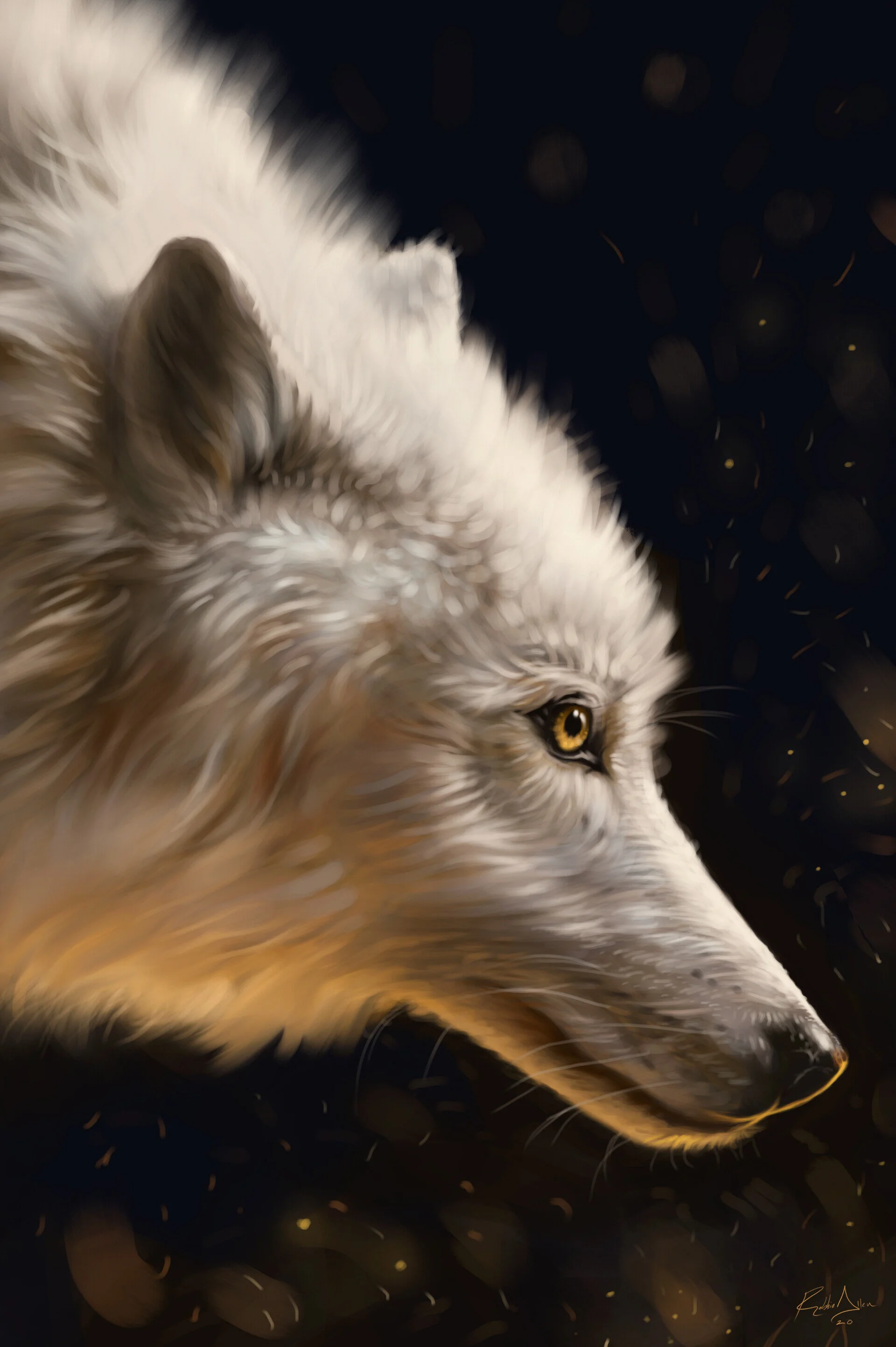 White Wolf Portrait 