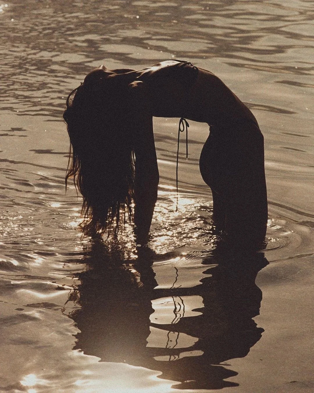 Cellular Energy: Why Mitochondria Decide How Fast You Age