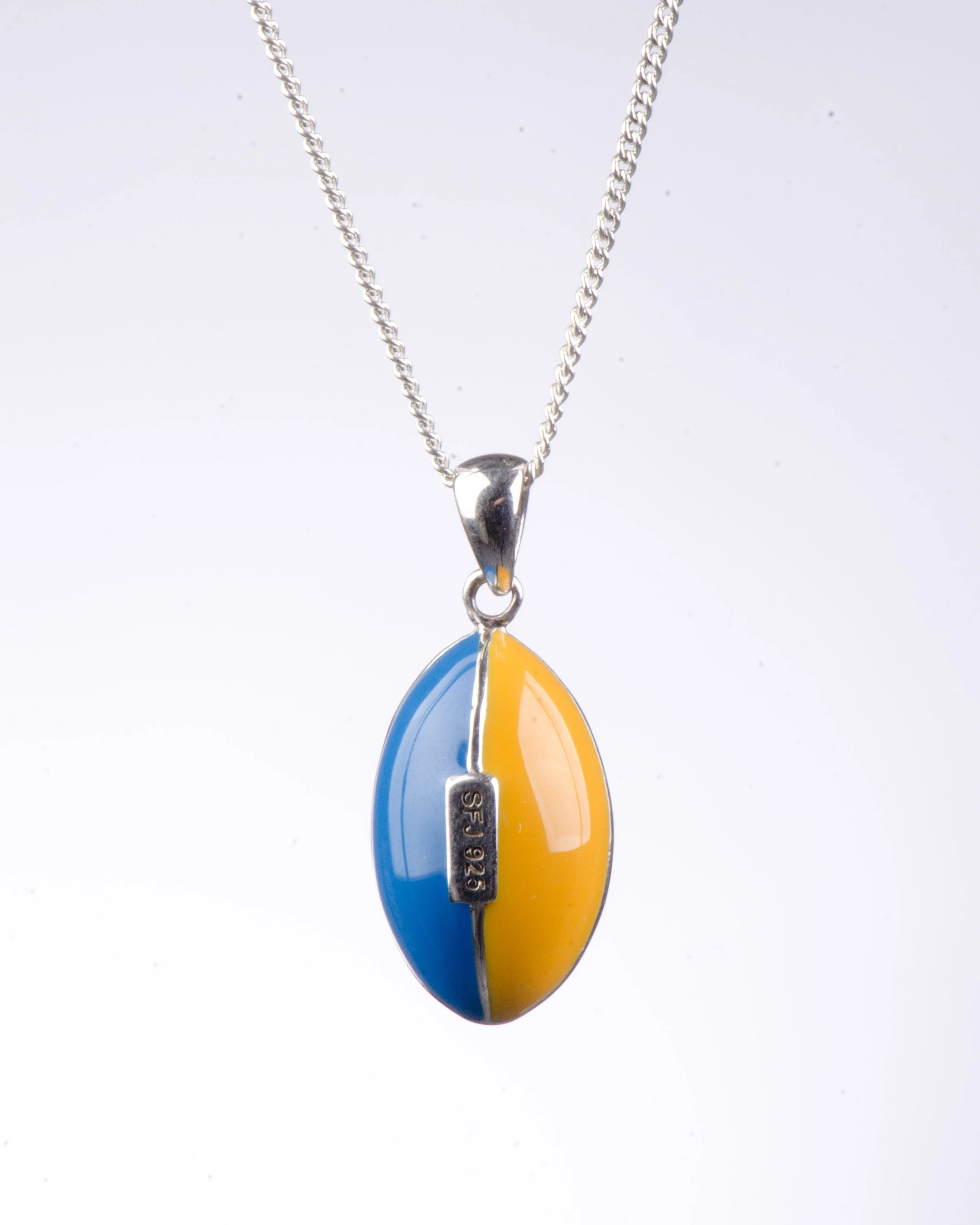 NRL eels (1).jpg