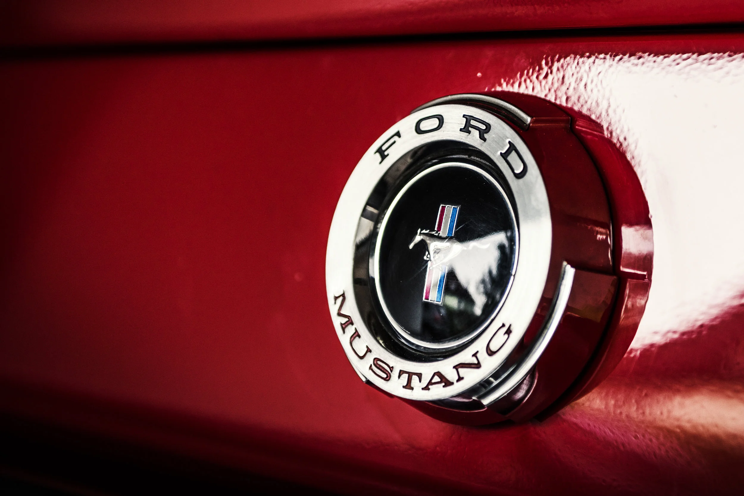 Mustang_170.jpg