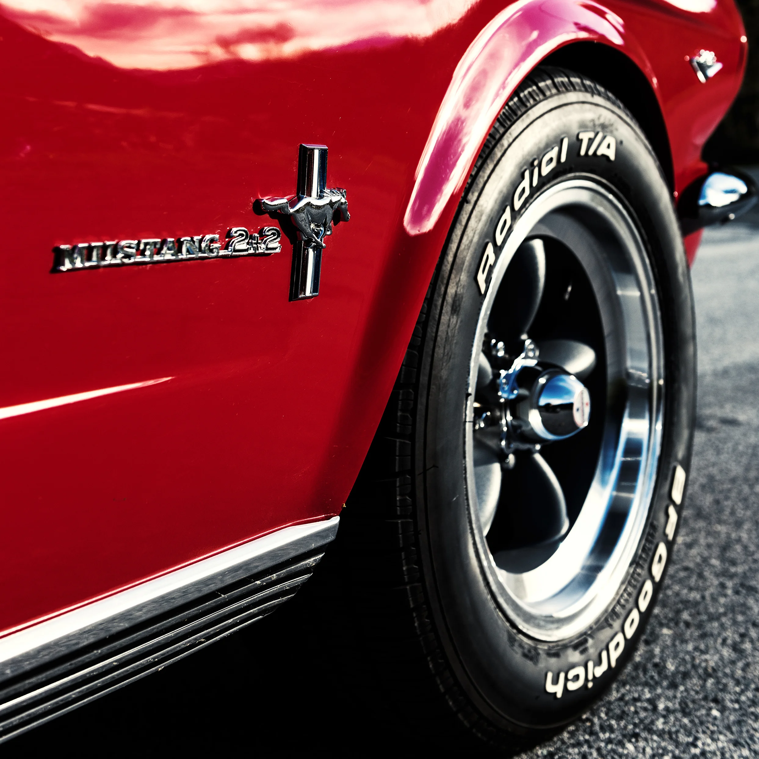 Mustang_17mb.jpg
