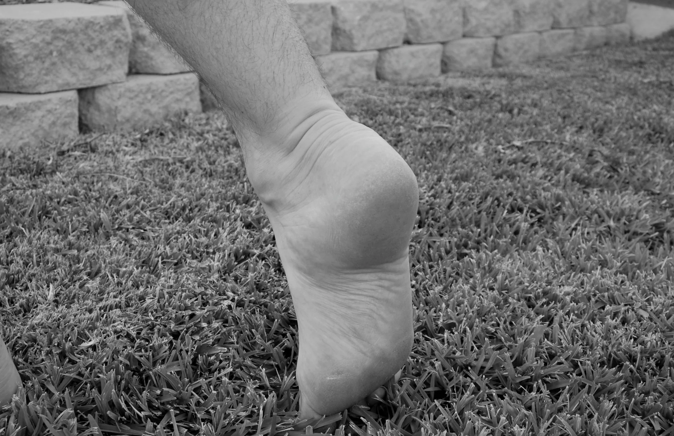 DSC_2703_Fotor.jpg