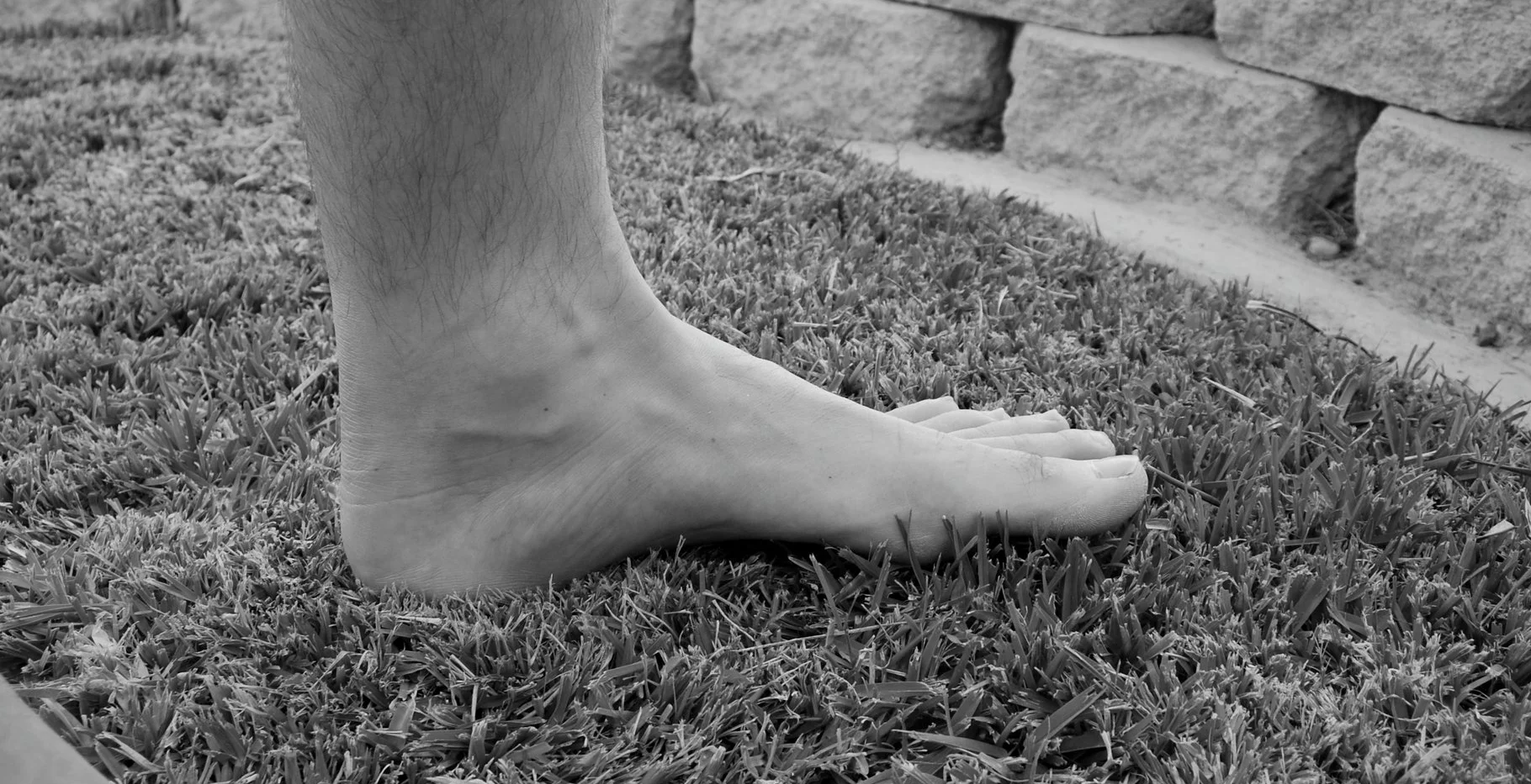 DSC_2707_FotorBW.jpg