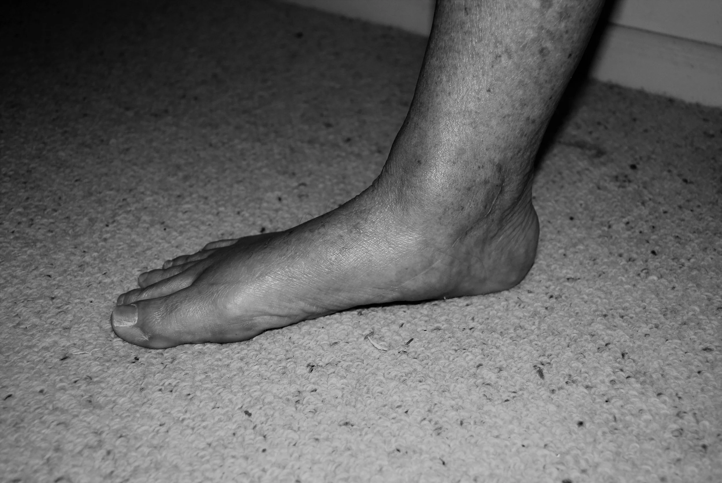 DSC_2727bw.jpg