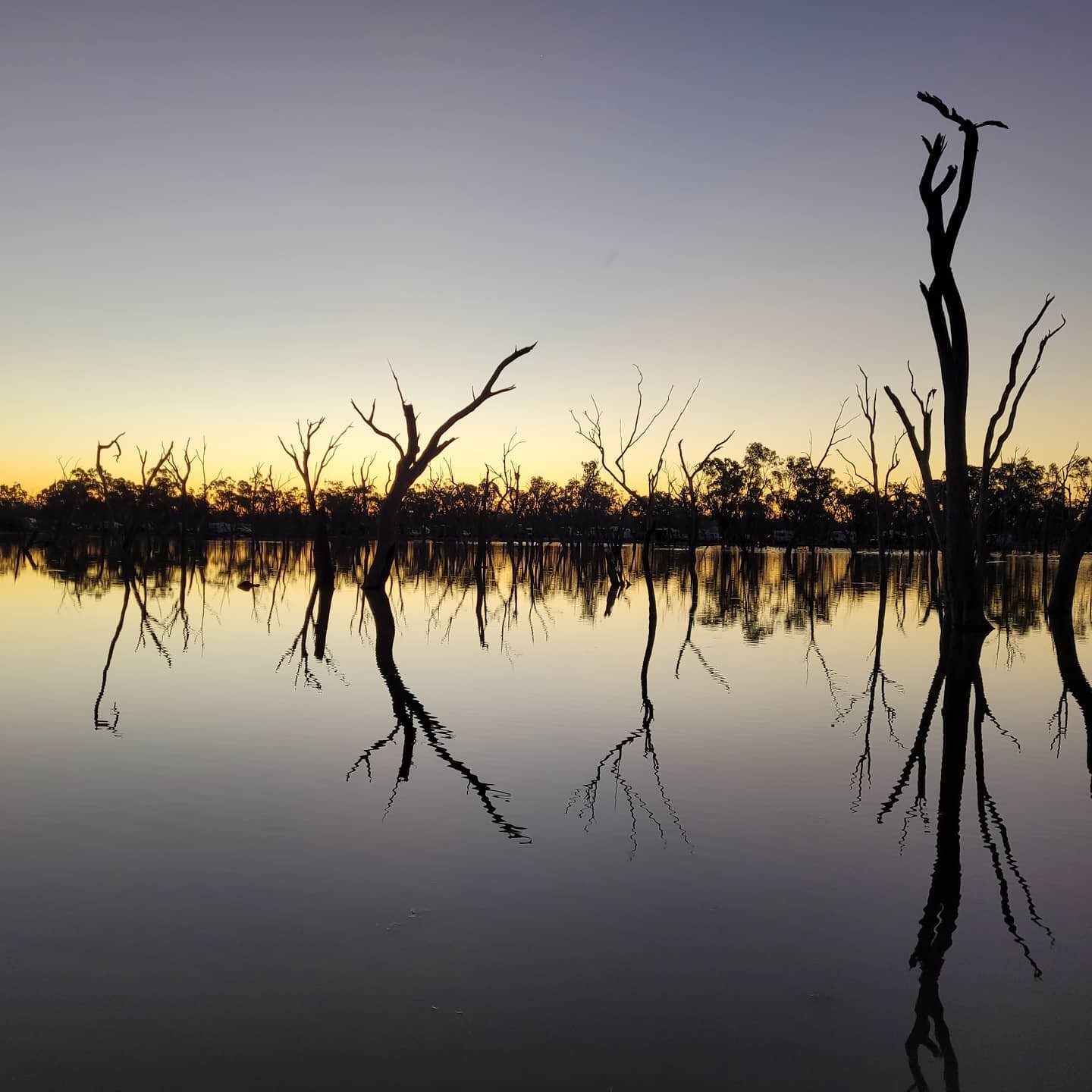 Still waters going down of the sun. Wetlands south of Barcaldine, Qld. Great country, gotta say!