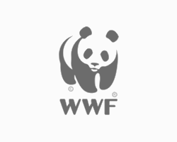 WWF