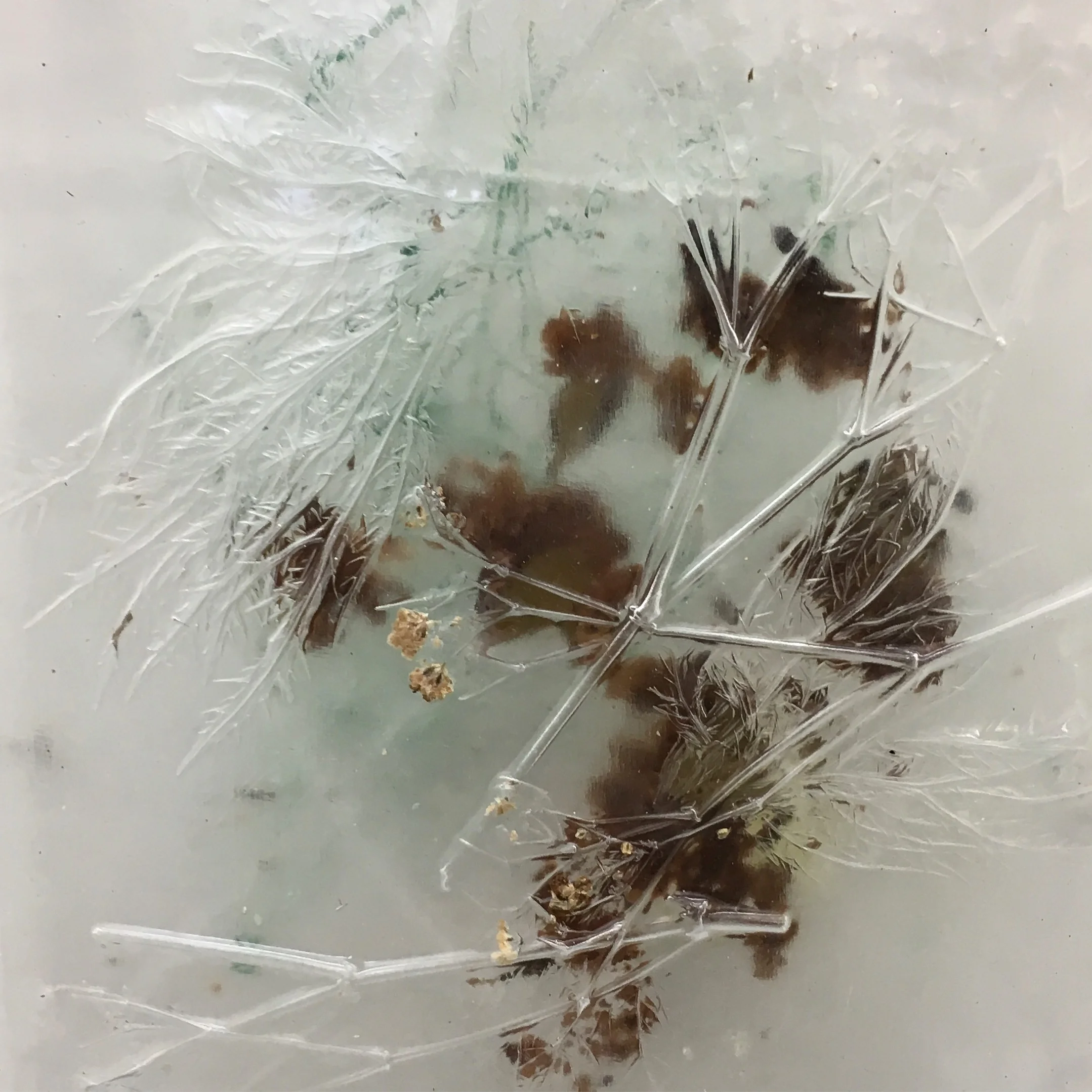 Encasing