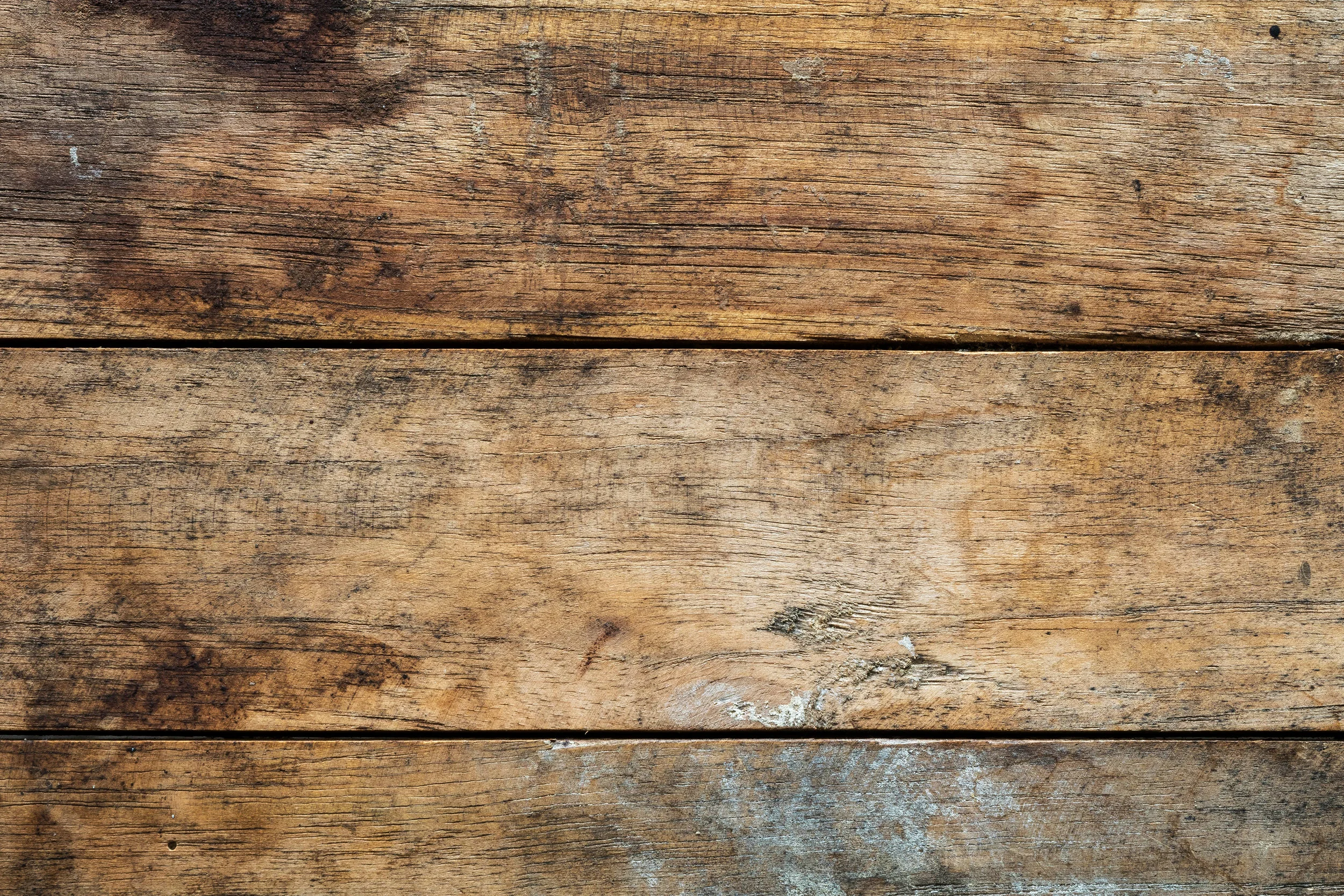 AdobeStock_102381692.jpeg