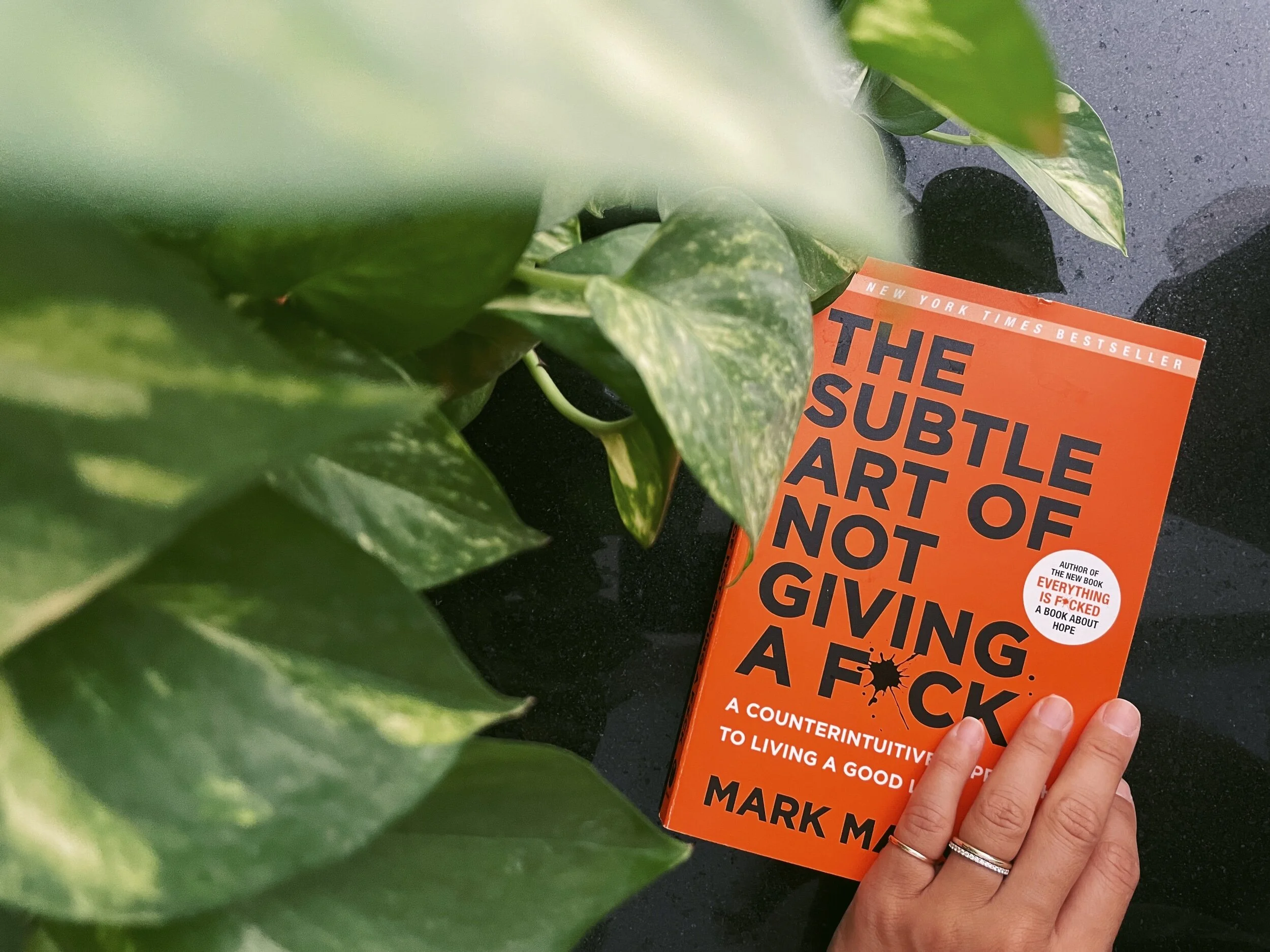 Book Review The Subtle Art Of Not Giving A F Uck Bee Bishay