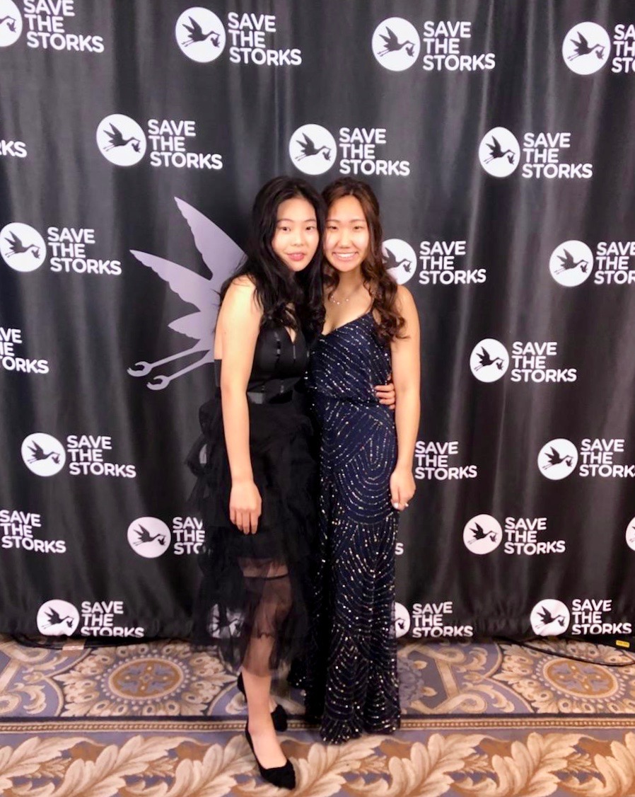 Storks Ball 2019, Washington DC