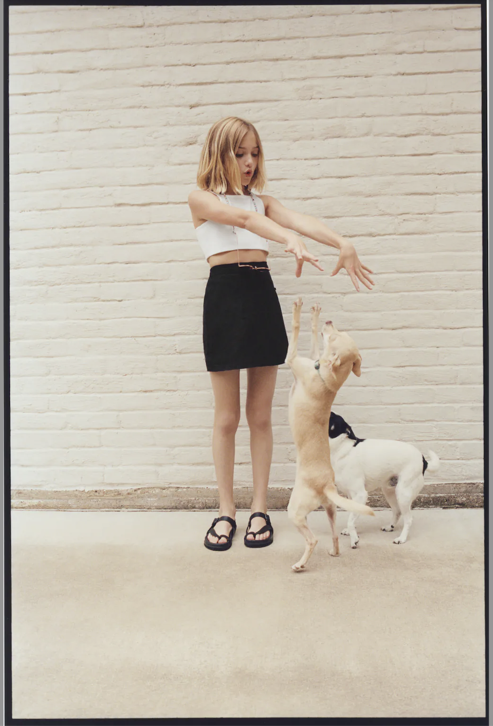 Screenshot 2025-08-13 at 2.27.27 PM.png