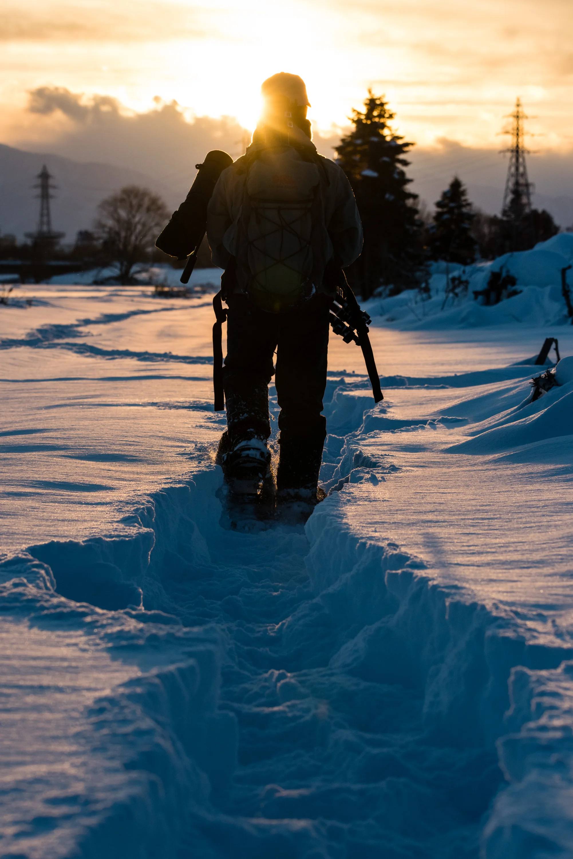 Into the Sunset