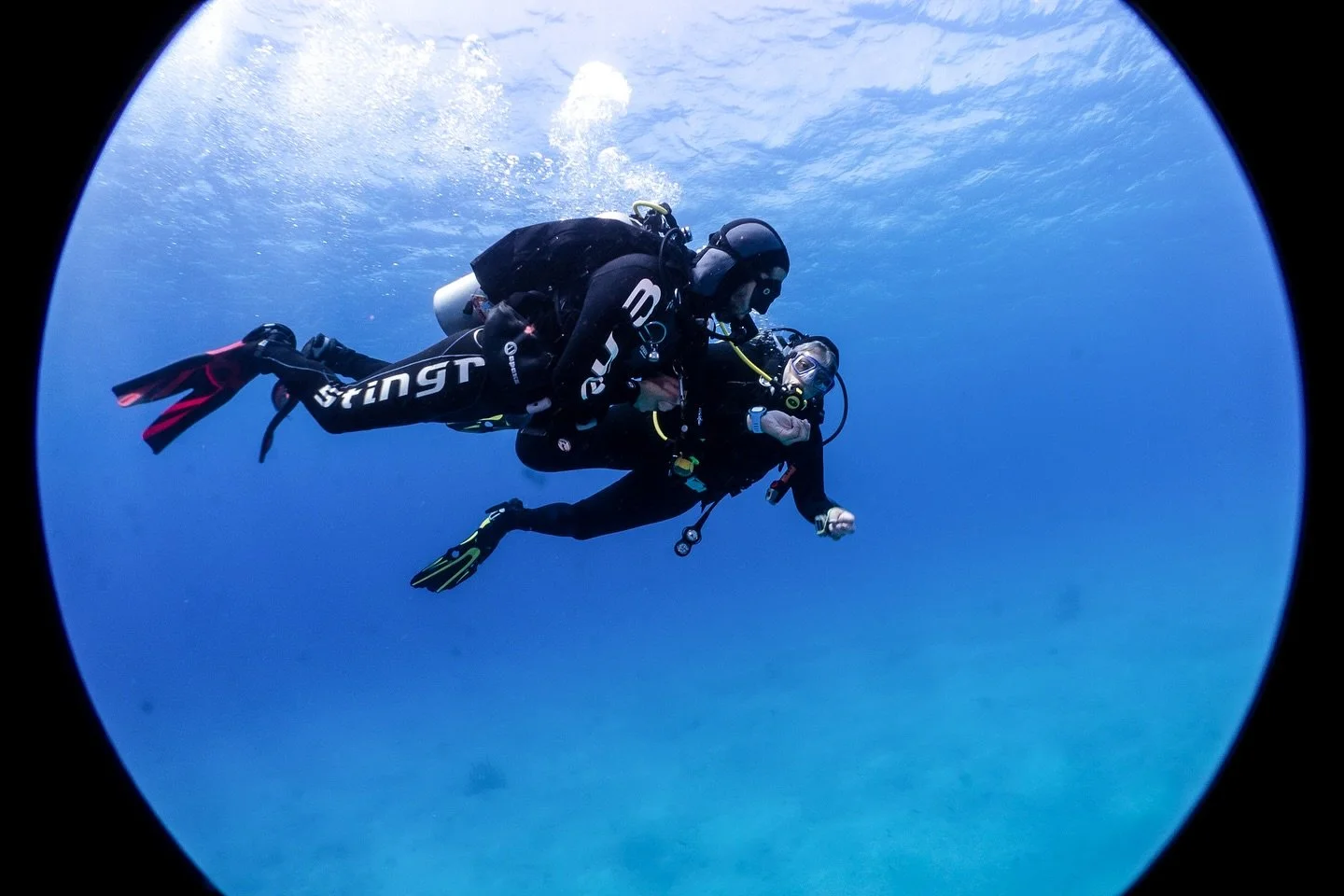 The calming view of a safety stop after a great dive.

With @the_dive_guy_

Follow @lensofait for more wildlife and underwater photography.

#lensofamit #underwaterphotography #scubadivinglife #safetystop #divelove #oceanmood #uwphoto #bluemind #divi